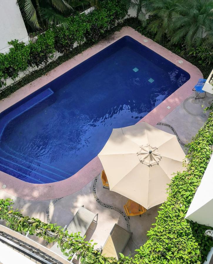 Hotelito Los Suenos 사율리타 외부 사진