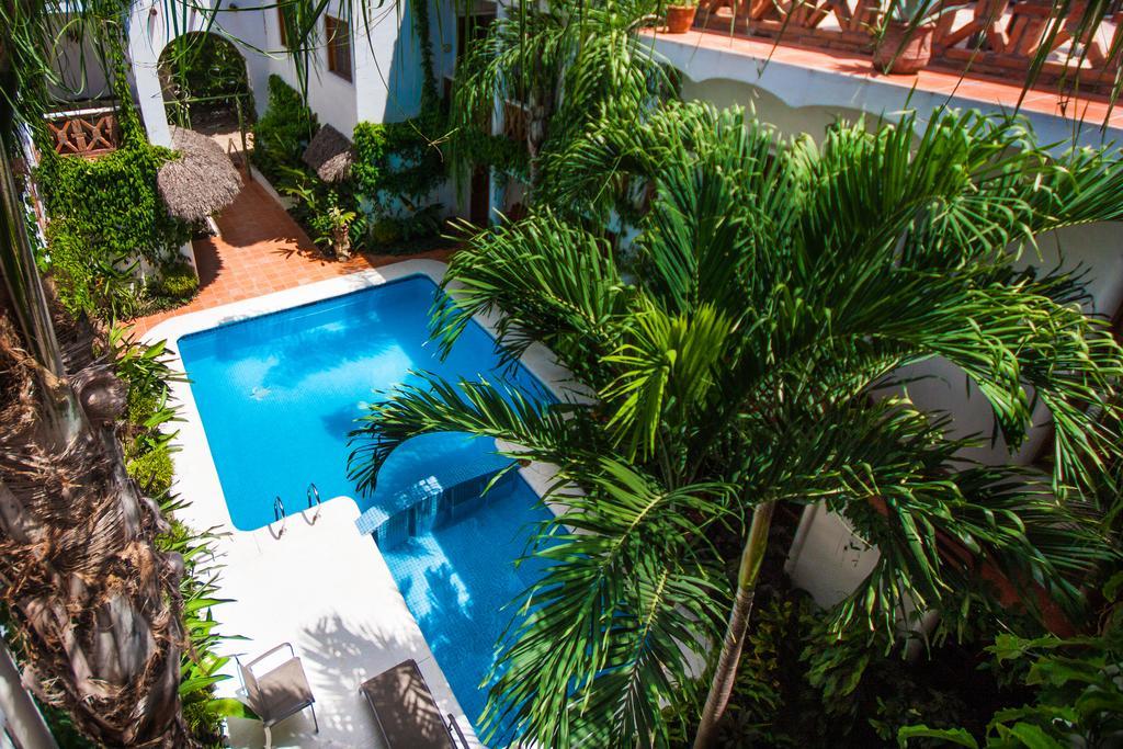 Hotelito Los Suenos 사율리타 외부 사진