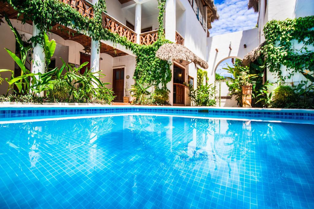 Hotelito Los Suenos 사율리타 외부 사진