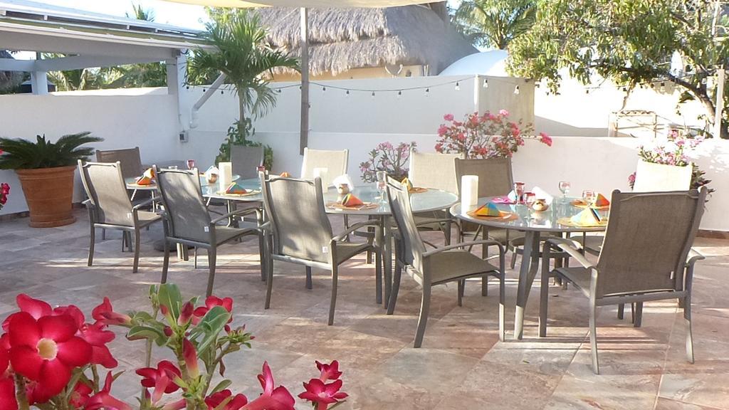 Hotelito Los Suenos 사율리타 외부 사진