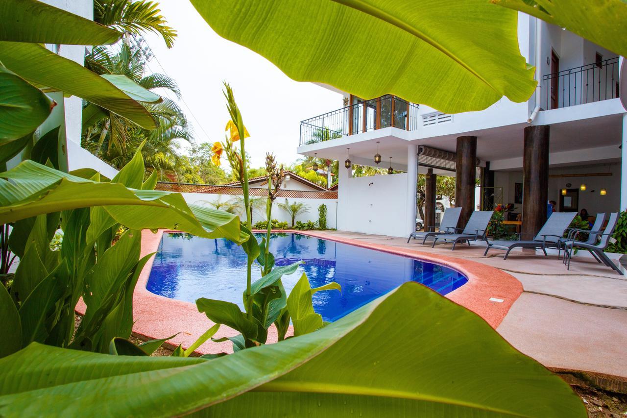 Hotelito Los Suenos 사율리타 외부 사진